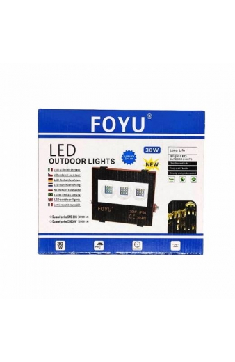 Προβολέας IP66 Ισχύος 30W ρεύματος - LED outdoor lights