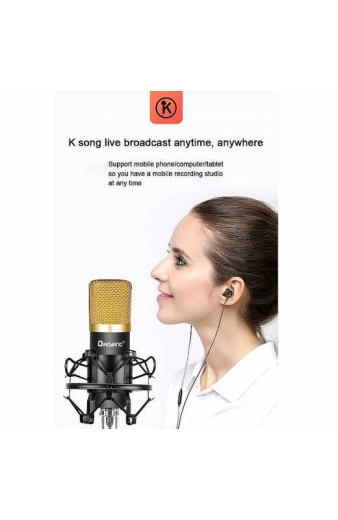 Qiaoyang επαγγελματικό σέτ μικροφώνου QA-T595 - Qiaoyang Professional microphone recording equipement QA-T595